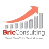 BricConsulting