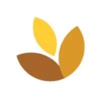 Oatmeal Health Oatmeal Health