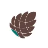 Pine Technologies Pvt Ltd Pine Technologies Pvt Ltd