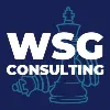 WSG Consulting LLC