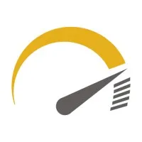 DSM Engines LLC