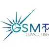 GSMT Consulting