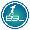 BSL Consulting BSL Consulting