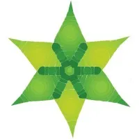 Immidi Infotech
