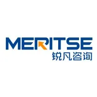 Meritse Management Consulting