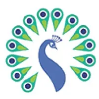 Peacock Accountants Limited