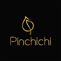 Pinchichi Integrated services Limited