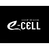 COEP TECH'S E-CELL COEP TECH'S E-CELL
