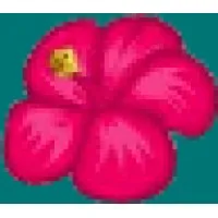 In Bloom Flowers In Bloom Flowers