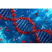 MNA Global MNA Global