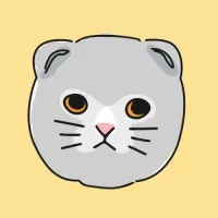 The Cat Clinic