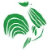 Shorouk for Modern Printing & Packaging email format