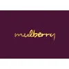 Designer Mulberry Spaces Pvt Ltd Designer Mulberry Spaces Pvt Ltd