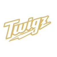 Twigz Labs Inc Twigz Labs Inc
