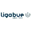 Ligabue Group Ligabue Group