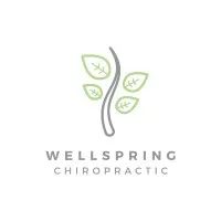 Wellspring Chiropractic - OKC