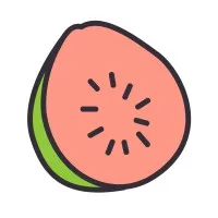 Guavas Finance