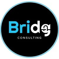 Bridg Consulting Bridg Consulting