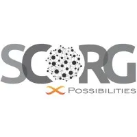 SCORG International Consulting Pvt. Ltd.