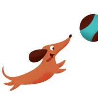 Allie's Walkabout - Grooming, Daycare, Boarding & Training