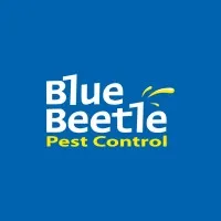 Blue Beetle Pest Control