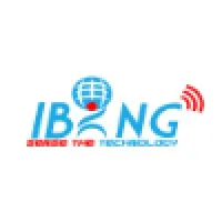 IBing Software Solutions Private Limited