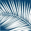 SC Small Business Development Centers SC Small Business Development Centers