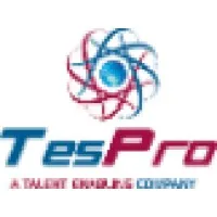 TesPro Systems Pvt. Ltd.