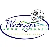 Watauga County Arts Council Watauga County Arts Council