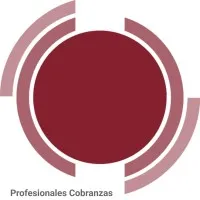 PROFESIONALES | Collections DR - Latam