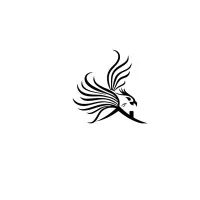 Phoenix Loans