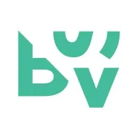 BSV Digital Displays