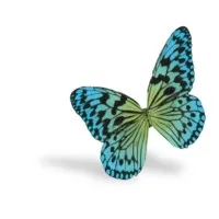 CADDRA - Canadian ADHD Resource Alliance
