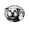 The Street Dog Coalition The Street Dog Coalition