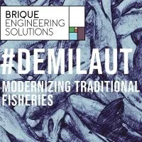 #DemiLaut by Brique