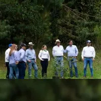 Arce Rojas Consultores & CIA S.A.S.