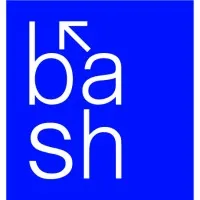 Bash SDM - Strategic Digital Marketing Kochi, Kerala