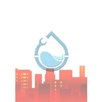 Aguaflo Plumbing Services