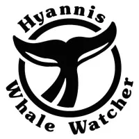 Hyannis Whale Watcher