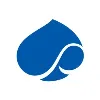 Capgemini Capgemini