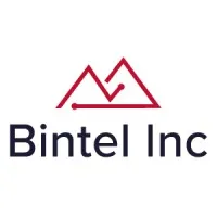 Bintel Inc