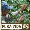 Pura Vida Coffee