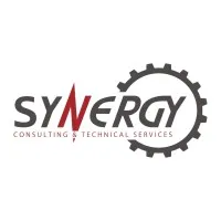 Synergy Consulting and Technical Services 