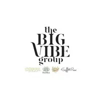 The Big Vibe Group The Big Vibe Group