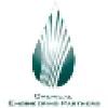 Chemical Engineering Partners