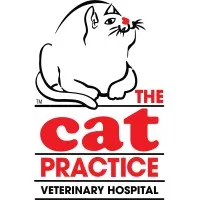 The Cat Practice The Cat Practice