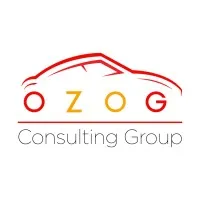 Ozog Consulting Group