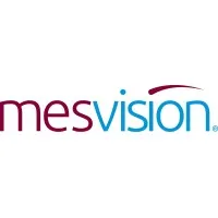 MESVision