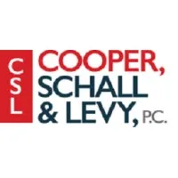 Cooper, Schall and Levy 