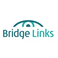BridgeLinks Heli